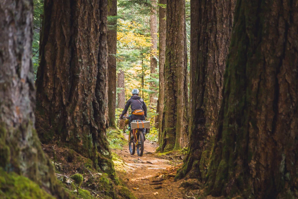 Anaxshat Passage - Hood Tier Loop — Oregon Timber Trail